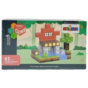 Blocos Magnéticos 64 Peças